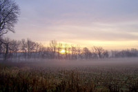Foggy sunrise on a corn farm in late fall