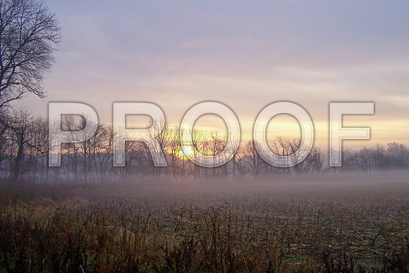 Foggy sunrise on a corn farm in late fall