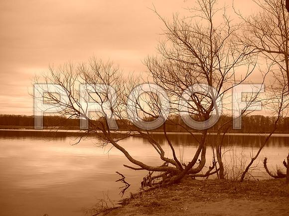 I took this photo at Mercer County Park in NJ.The photo color is Sepia