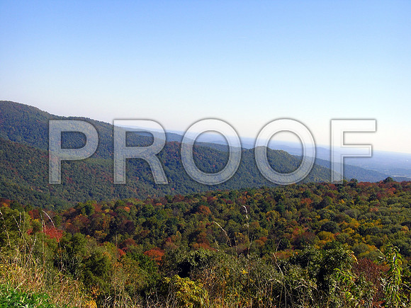 I took this photo at Sky Line Dr in VA. during the beginning of fall
