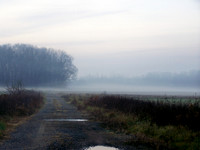 A foggy morning at a corn fram in late fall