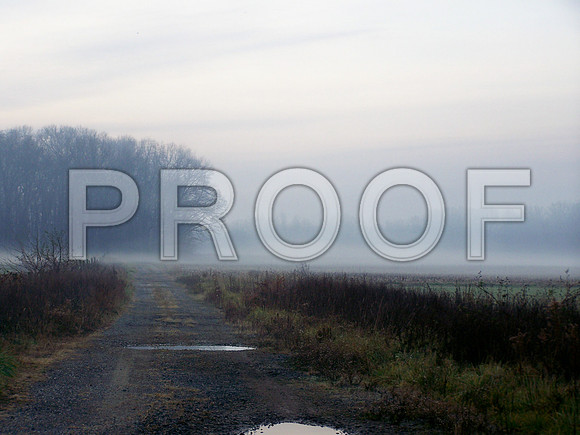 A foggy morning at a corn fram in late fall