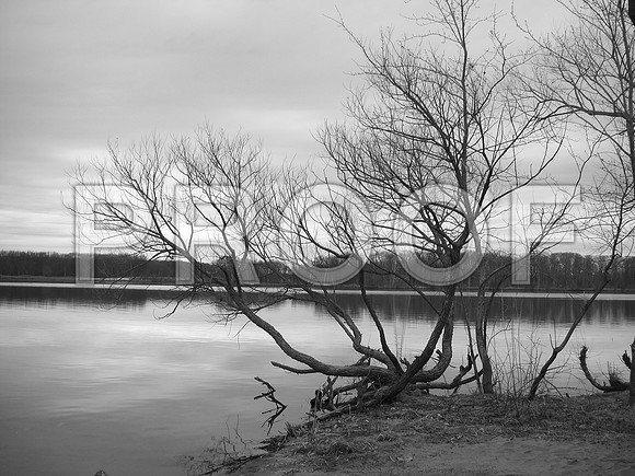 I took this photo at Mercer County Park in NJ.The photo is Black and white